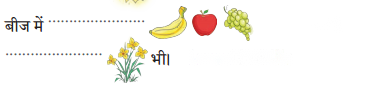 बीज (Beej) Diagram 3