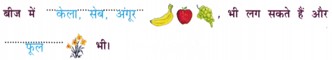 बीज (Beej) Diagram 4
