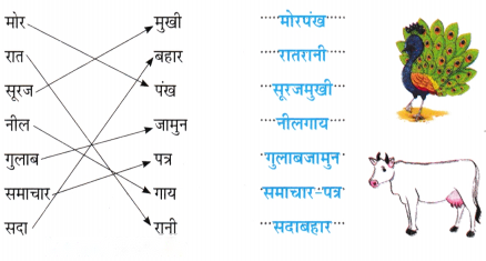 बादल (Baadal) Diagram 4