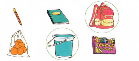 Ranis Gift Diagram 10