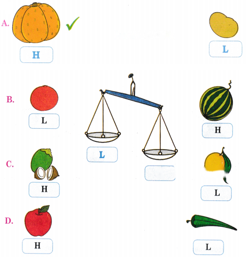 Ranis Gift Diagram 16