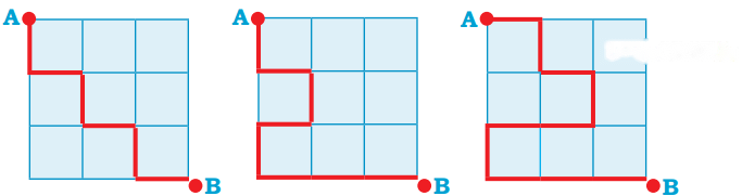 Ranis Gift Diagram 4