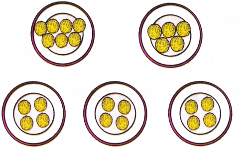 Grouping and Sharing Diagram 63