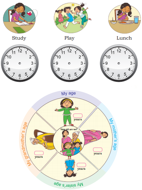 Which Season is it Diagram 24