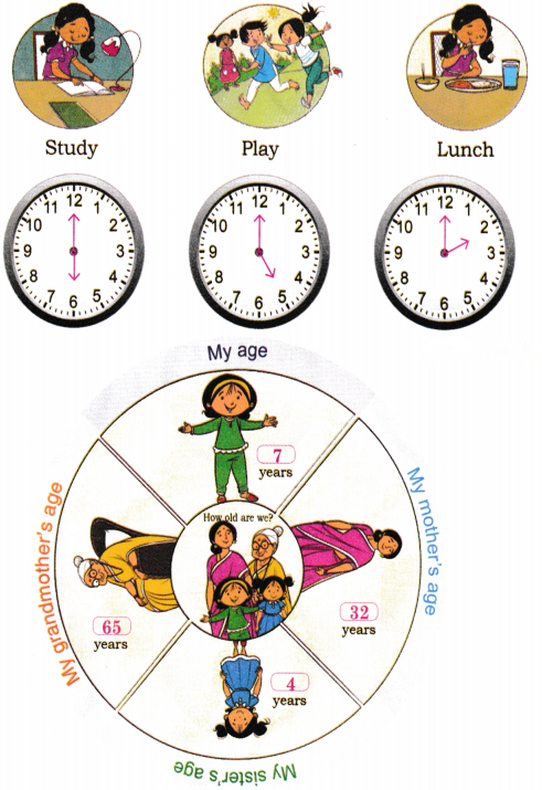Which Season is it Diagram 25