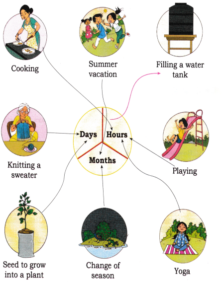Which Season is it Diagram 9