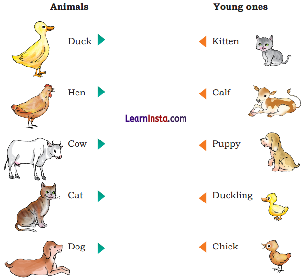 Colours Diagram 4