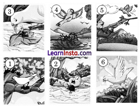 Badal and Moti Diagram 9