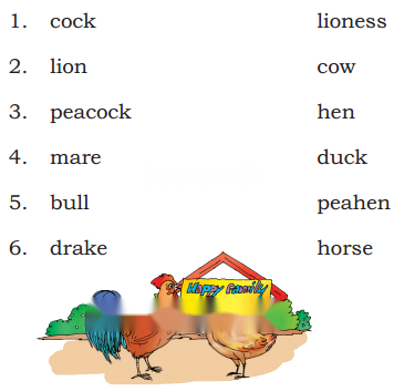 The Big Laddoo Diagram 8
