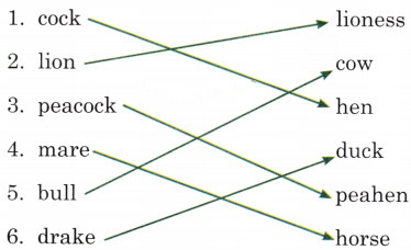 The Big Laddoo Diagram 9
