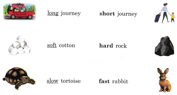 Thank God Diagram 4