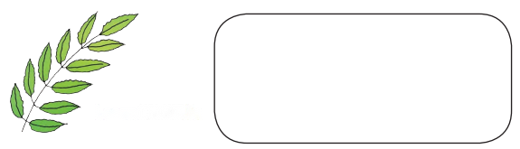 Making Things Diagram 4