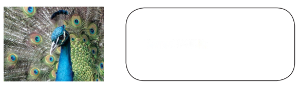 Making Things Diagram 5