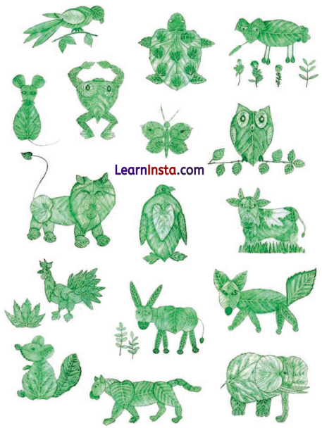 Getting to Know Plants Diagram 15