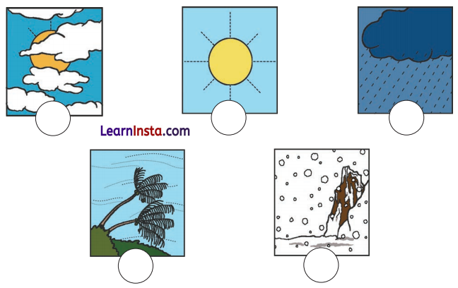 Getting to Know Plants Diagram 6