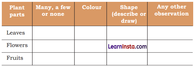 Getting to Know Plants Diagram 7