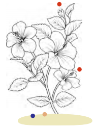 Plants and Animals Live Together Diagram 11