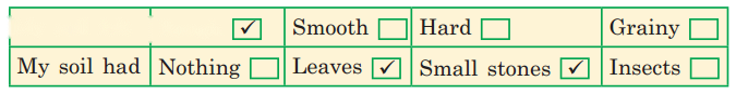 Plants and Animals Live Together Diagram 3
