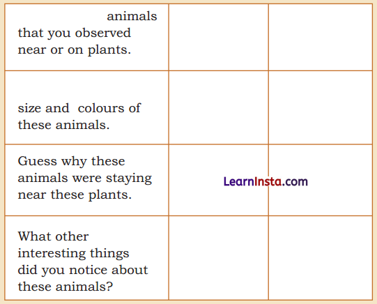 Plants and Animals Live Together Diagram 9