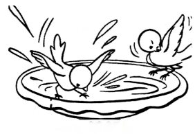 Water A Precious Gift Diagram 7