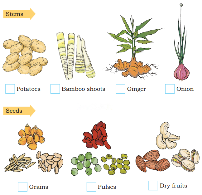 Food We Eat Diagram 10