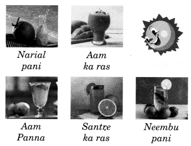 Food We Eat Diagram 8