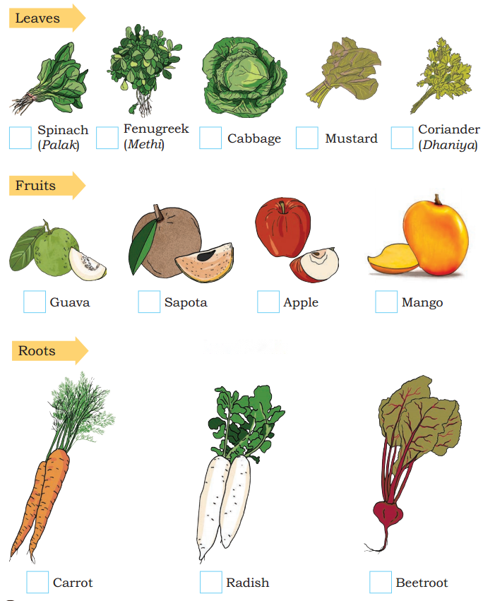 Food We Eat Diagram 9