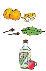 Staying Healthy and Happy Diagram 3