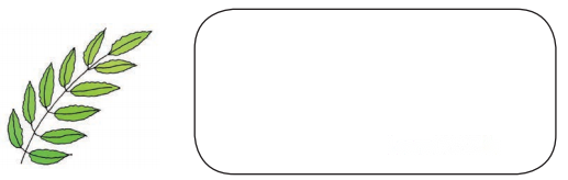 कैसे बनीं ये वस्तुएँ (Kaise_Baneen_ye_Vastuyen) Diagram 5