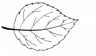 कैसे बनीं ये वस्तुएँ (Kaise_Baneen_ye_Vastuyen) Diagram 6