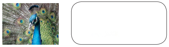 कैसे बनीं ये वस्तुएँ (Kaise_Baneen_ye_Vastuyen) Diagram 7