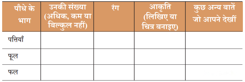 कुछ खोज पेड़-पौधों की (Kuchh_Khoj_Ped_Paudhon_ki) Diagram 4
