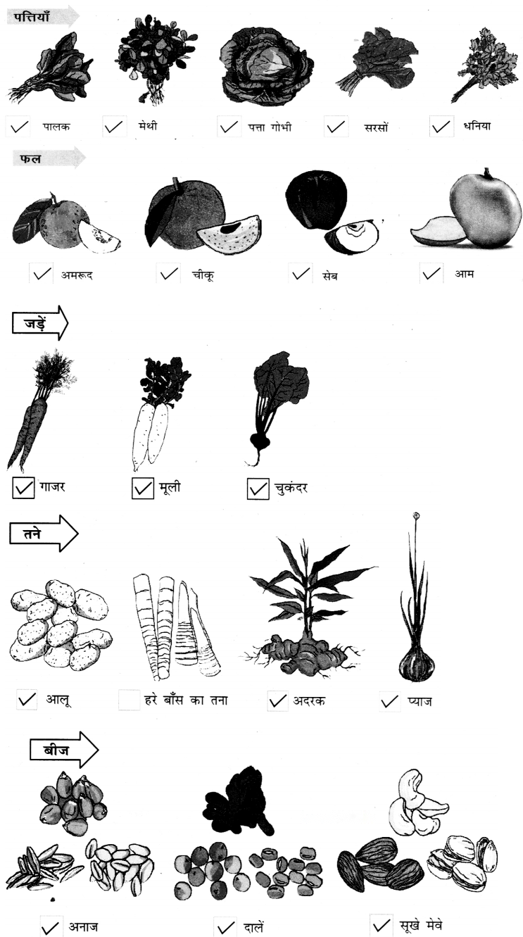 हमारा भोजन (Hamara_Bhojan) Diagram 10