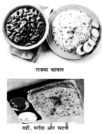 हमारा भोजन (Hamara_Bhojan) Diagram 2