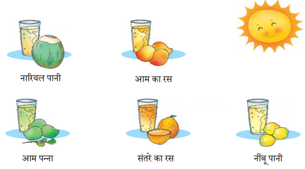 हमारा भोजन (Hamara_Bhojan) Diagram 7