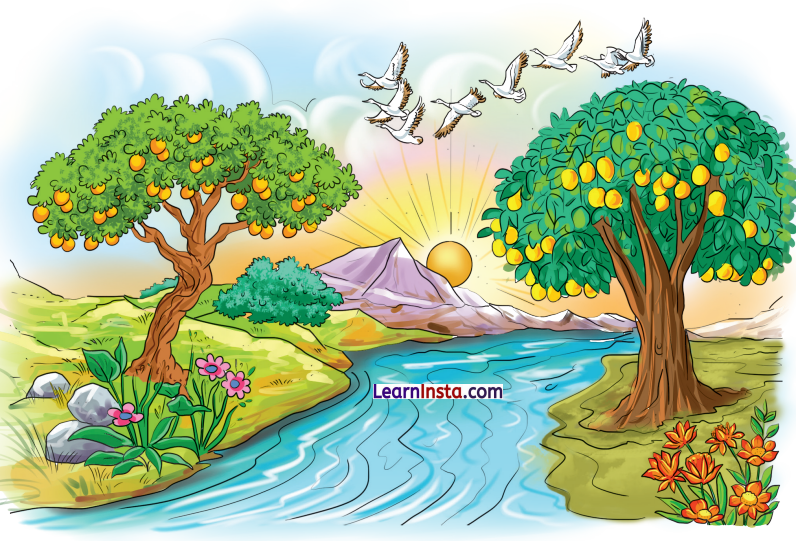 सीखो (Seekho) Diagram 1