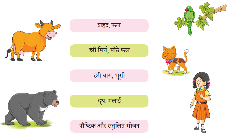 किसान की होशियारी (Kisaan_ki_Hoshiyaari) Diagram 6