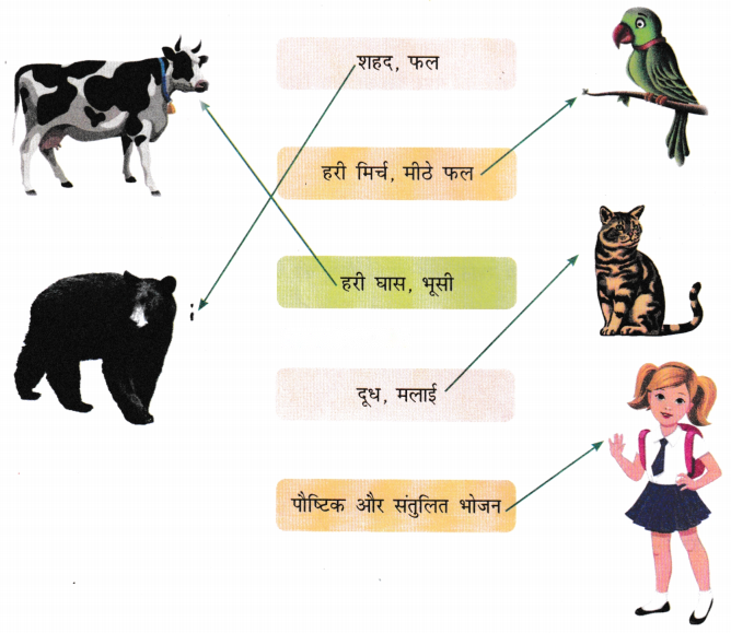 किसान की होशियारी (Kisaan_ki_Hoshiyaari) Diagram 7