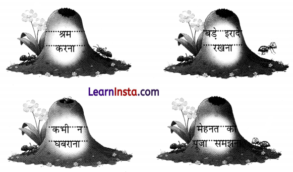 चींटी (Cheenti) Diagram 6