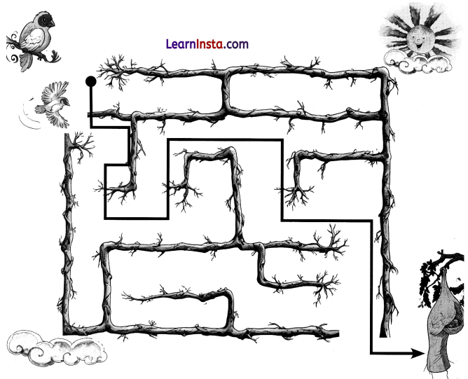 बया हमारी चिड़िया रानी (Baya_Hamari_Chidiya_Rani) Diagram 19