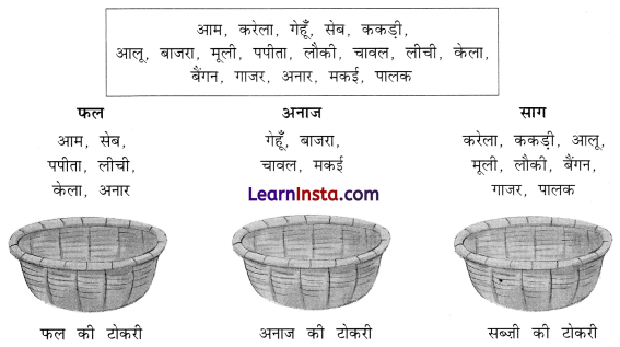 आम का पेड़ (Aam_ka_Ped) Diagram 13