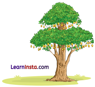 बीरबल की खिचड़ी (Birbal_ki_Khichdi) Diagram 11