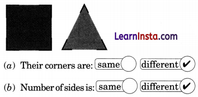 Class 3 Maths Chapter 5 Solutions Diagram 49