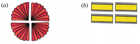 Class 3 Maths Chapter 8 Solutions Diagram 34