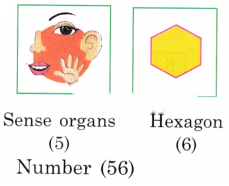 Class 3 Maths Chapter 9 Solutions Diagram 58