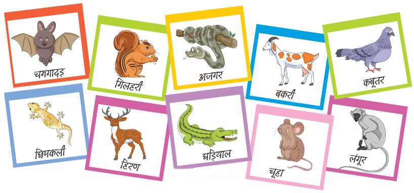 Class 3 Maths Chapter 1 Solutions in Hindi Diagram 3