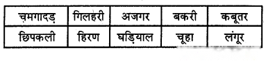 Class 3 Maths Chapter 1 Solutions in Hindi Diagram 4