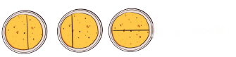 Class 3 Maths Chapter 8 Solutions in Hindi Diagram 1