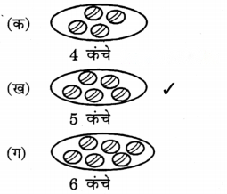 Class 3 Maths Chapter 8 Solutions in Hindi Diagram 11