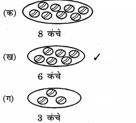 Class 3 Maths Chapter 8 Solutions in Hindi Diagram 12